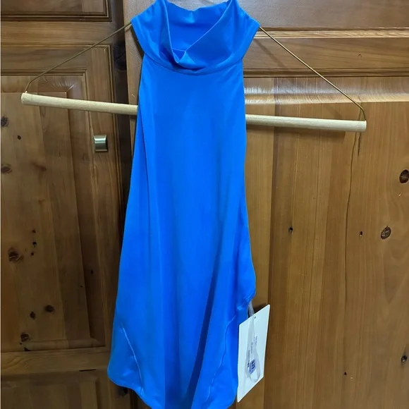 Elegant Blue Sleeveless Dress - Picture 1 of 2